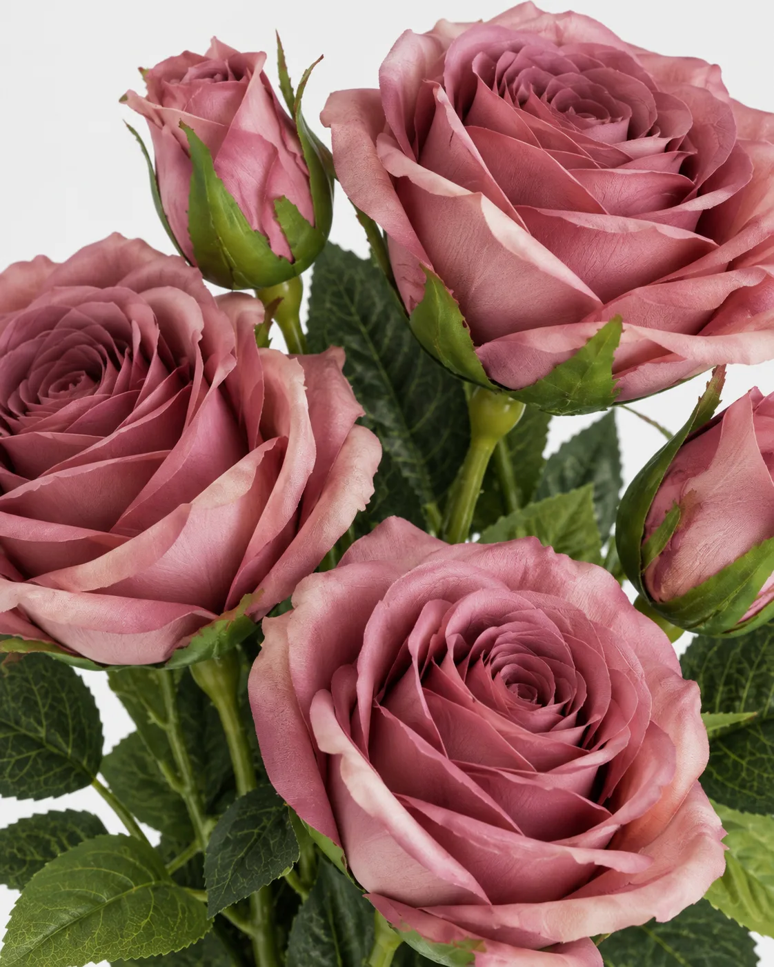 Fleurs, Bouquet, Rose vintage vieux rose