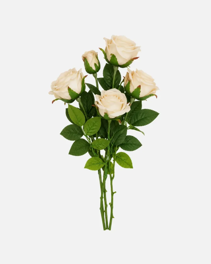 Fleurs, Bouquet, Rosier sur tige blanc