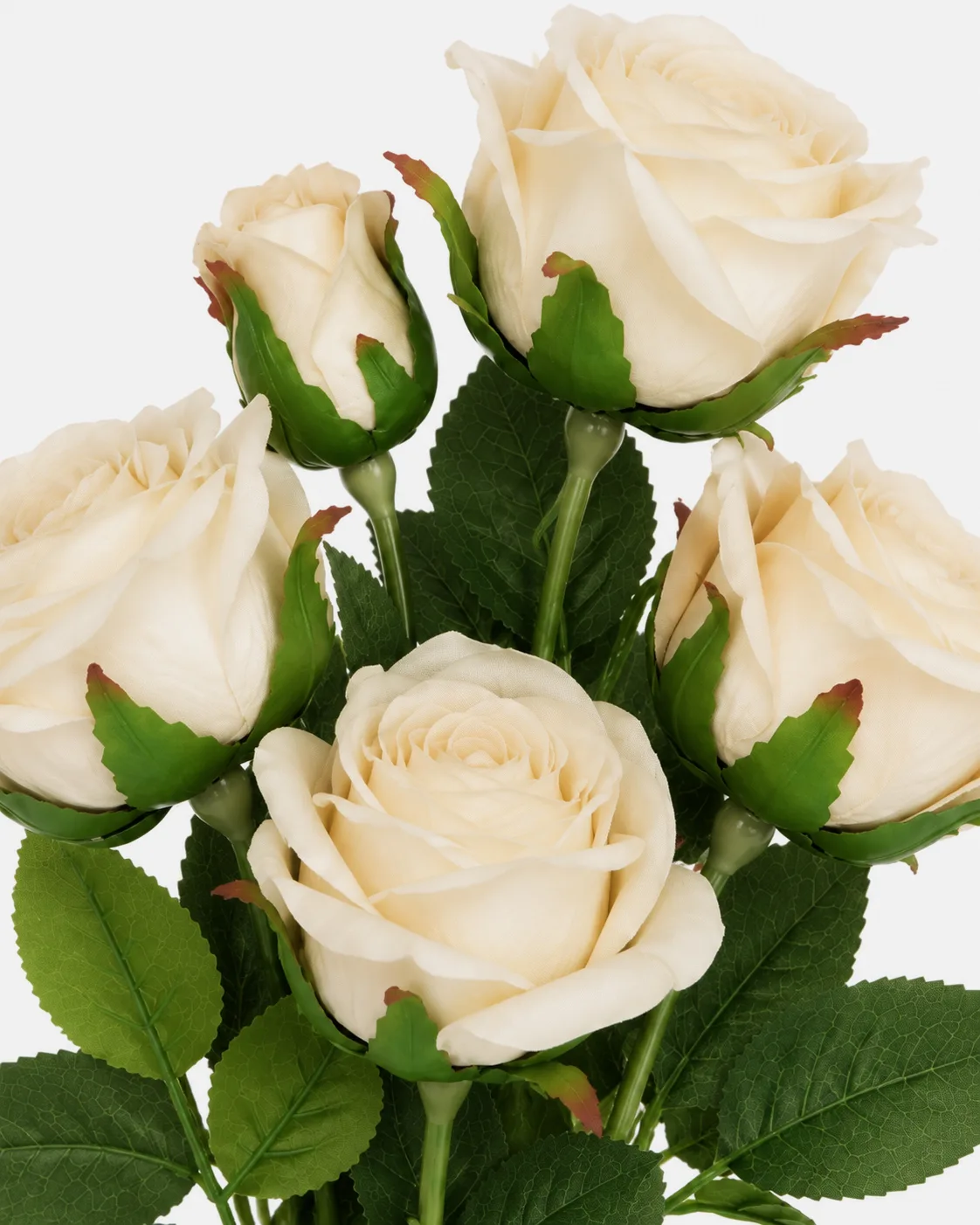 Fleurs, Bouquet, Rosier sur tige blanc