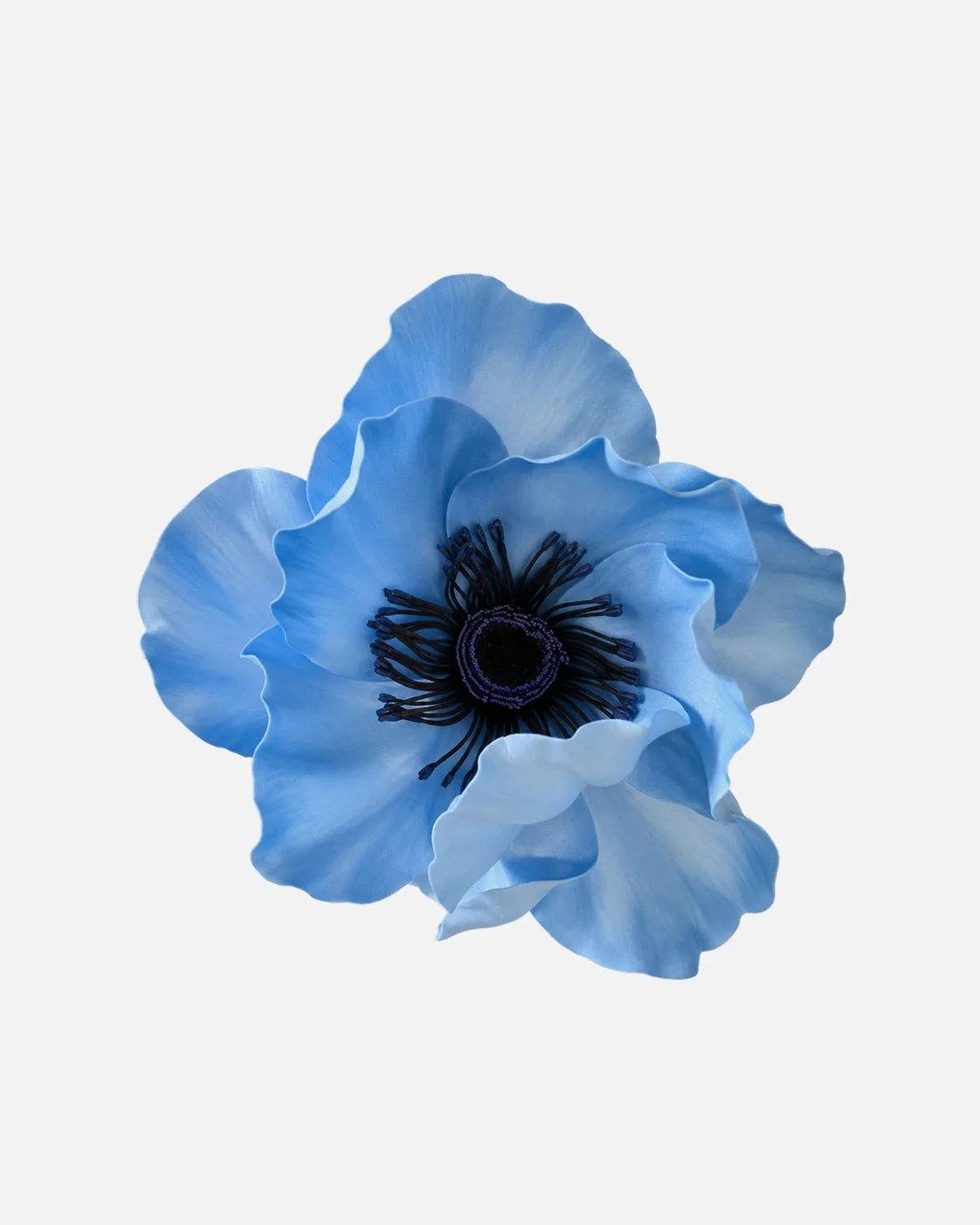 Fleurs, grandes, à l’unité, Anémone, bleu clair, 180 cm, x1
