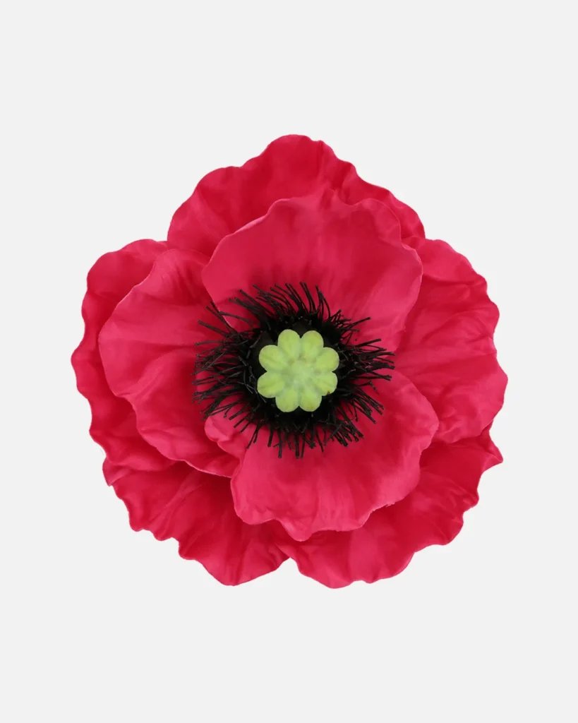 Fleurs, grandes, à l’unité, Coquelicot, rouge, x1