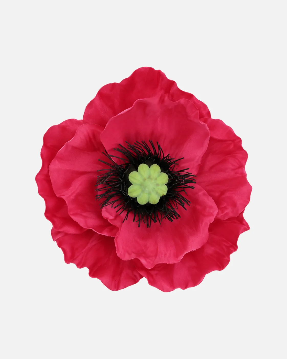 Fleurs, grandes, à l’unité, Coquelicot, rouge, x1