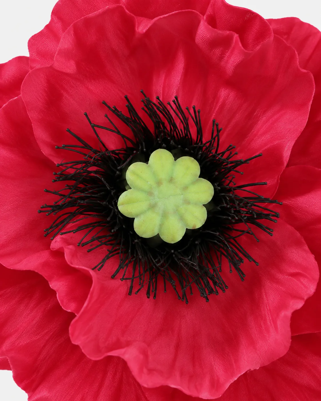 Fleurs, grandes, à l’unité, Coquelicot, rouge, x1