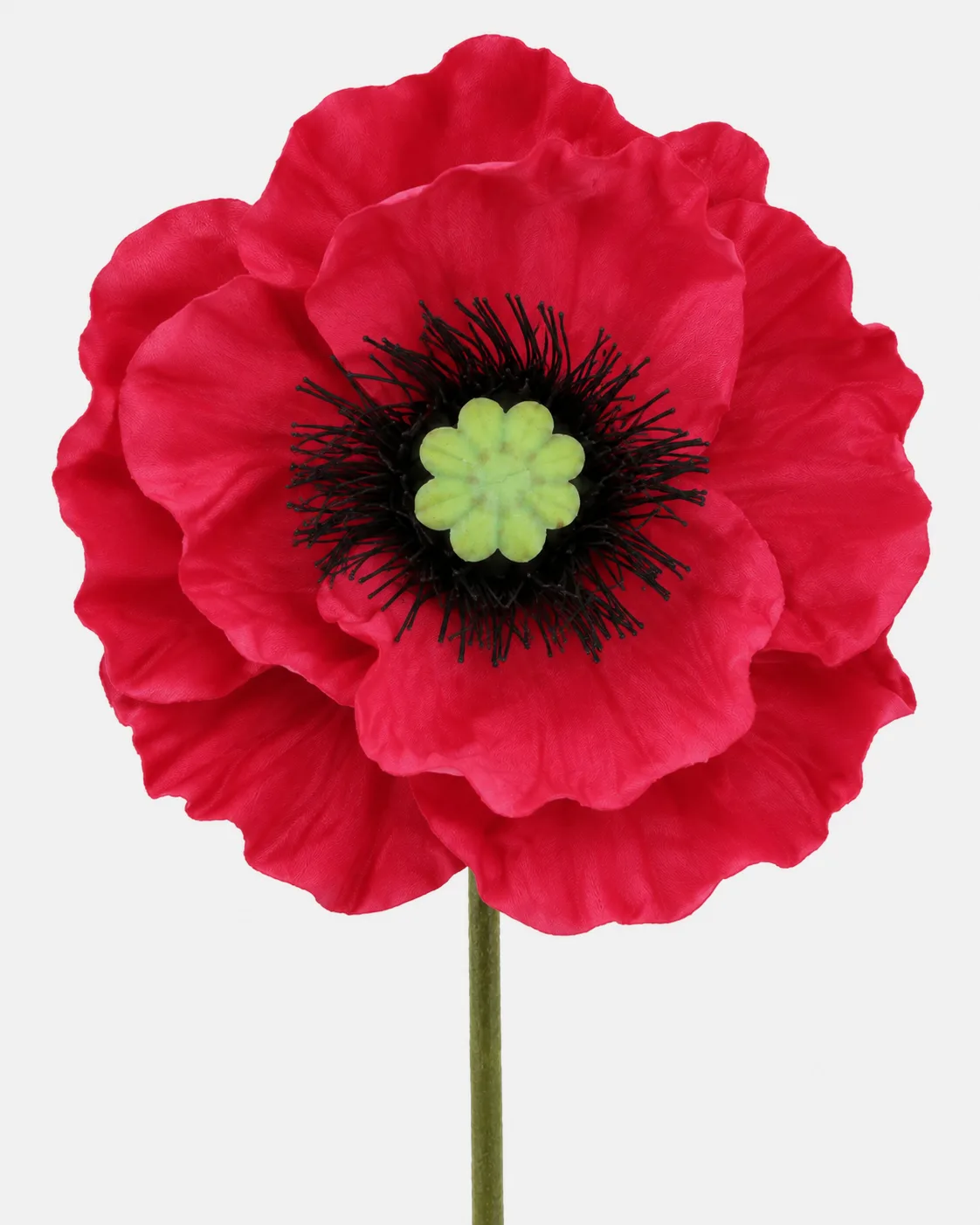 Fleurs, grandes, à l’unité, Coquelicot, rouge, x1