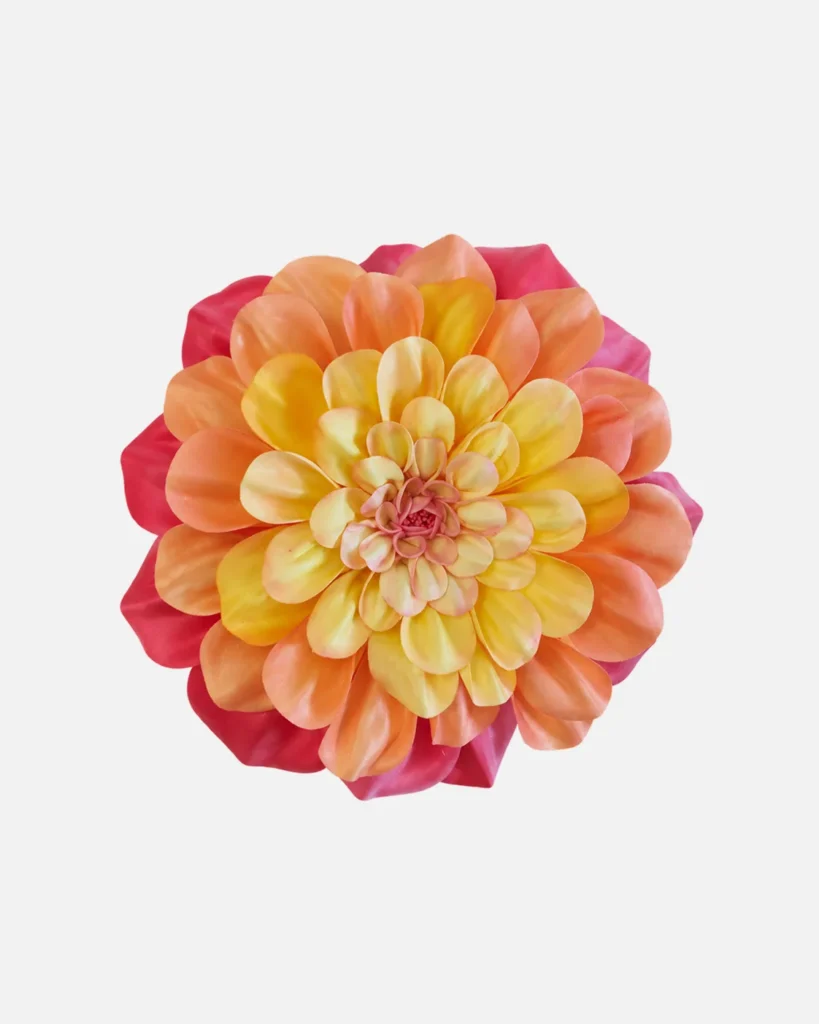 Fleurs, grandes, à l’unité, Dahlia, Orange jaune