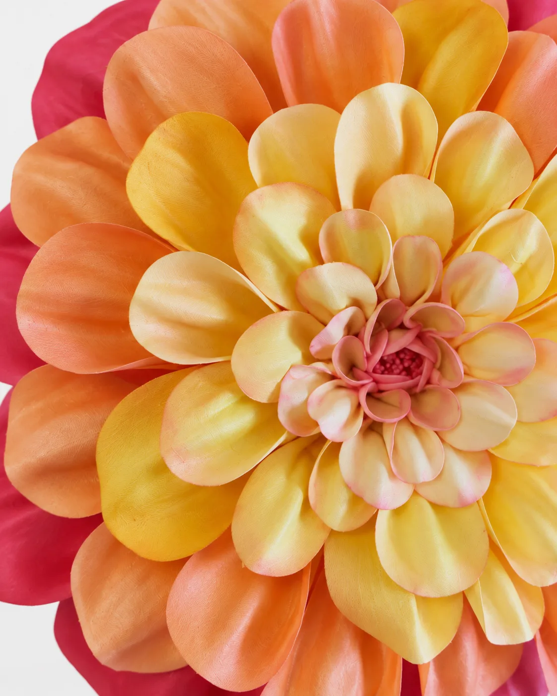 Fleurs, grandes, à l’unité, Dahlia, Orange jaune