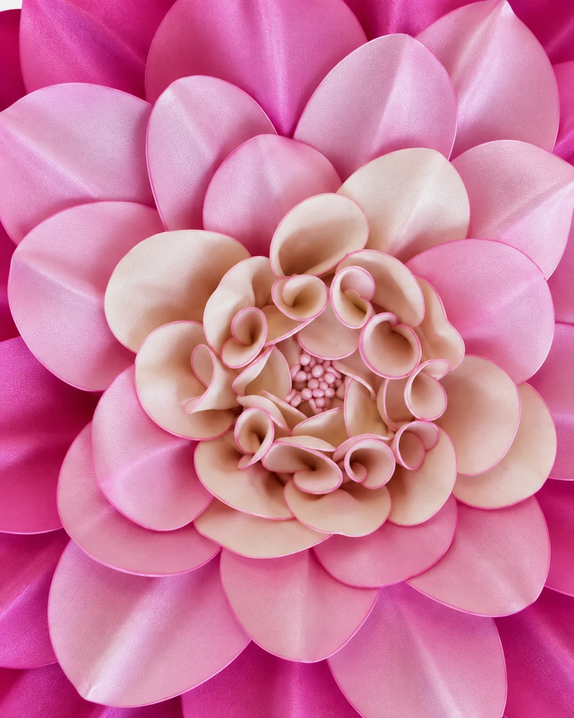 Fleurs, grandes, à l’unité, Dahlia, rose, 180 cm, x1