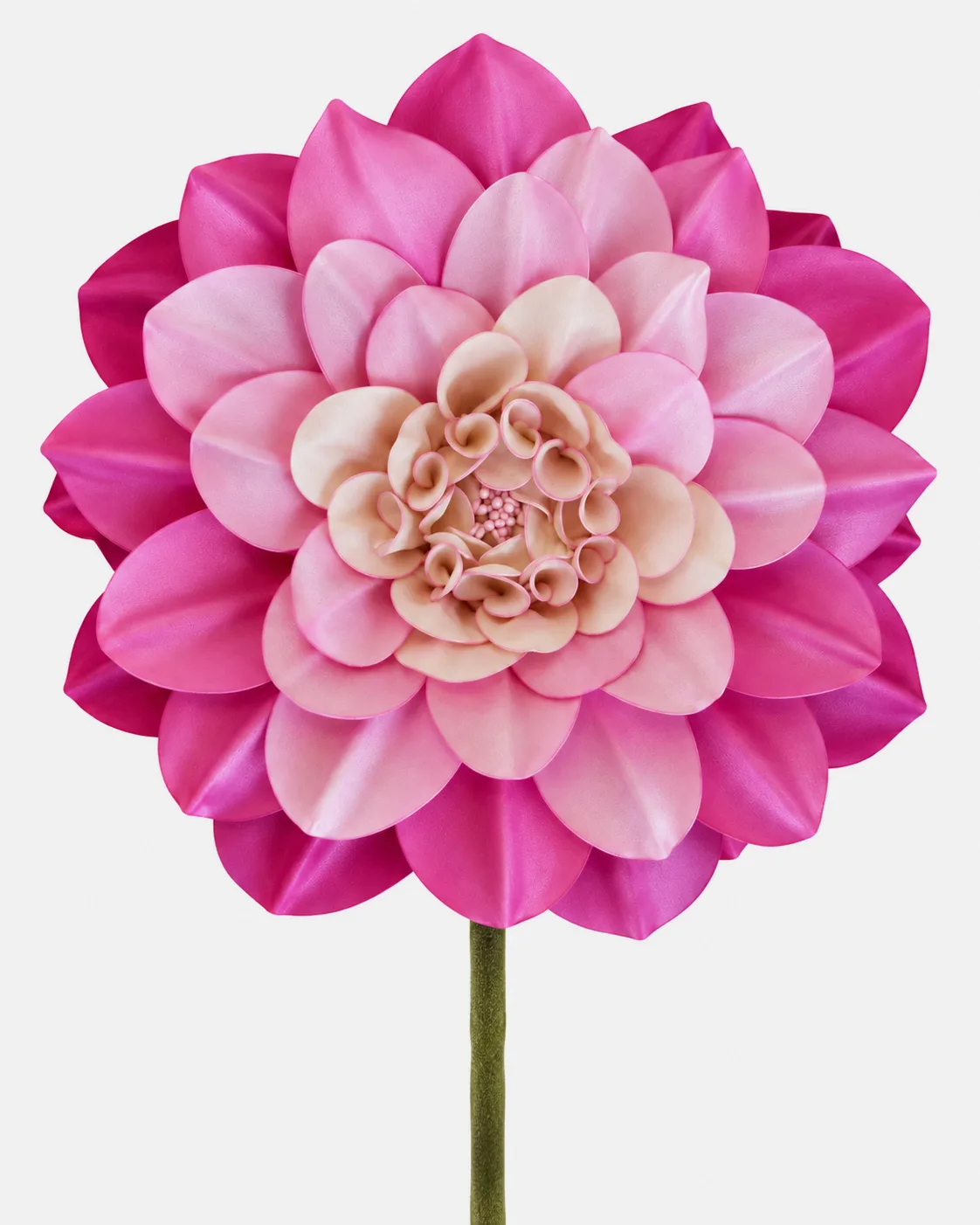 Fleurs, grandes, à l’unité, Dahlia, rose, 180 cm, x1