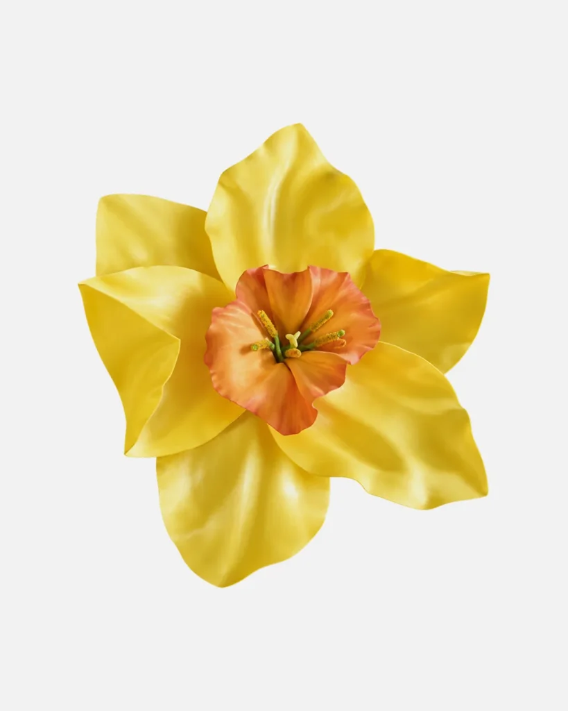 Fleurs, grandes, à l’unité, Jonquille, jaune