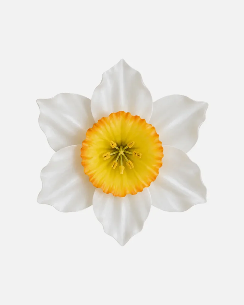 Fleurs, grandes, à l’unité, Narcisse, blanc
