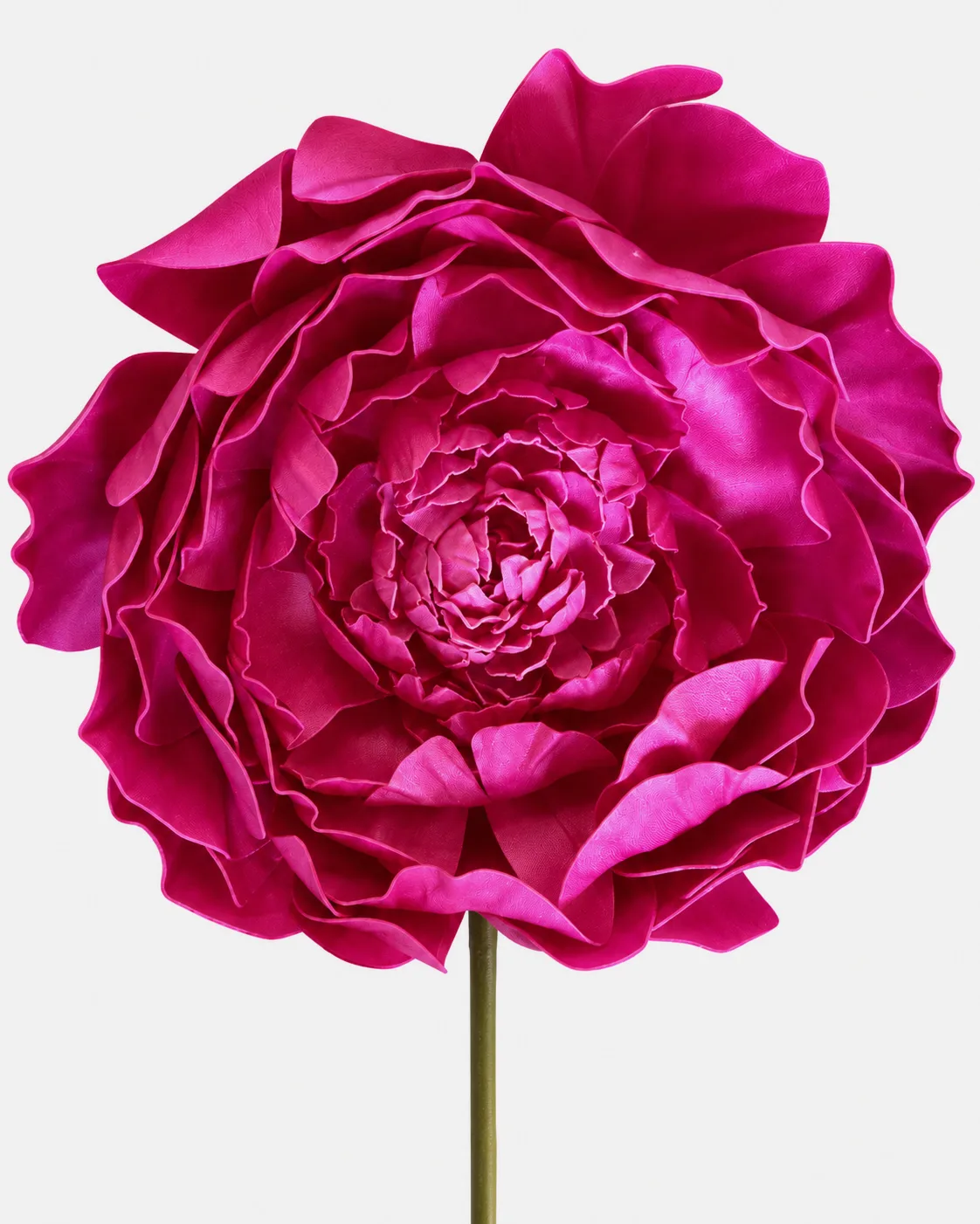 Fleurs, grandes, à l’unité, Pivoine, fuchsia