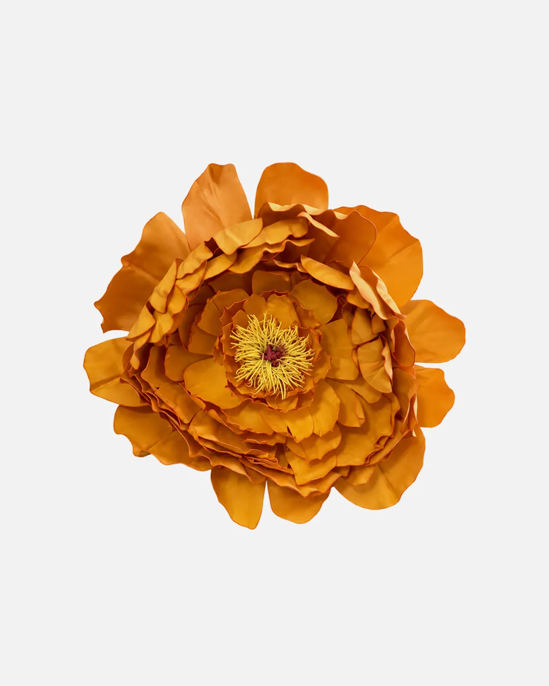 Fleurs, grandes, à l’unité, Pivoine, orange