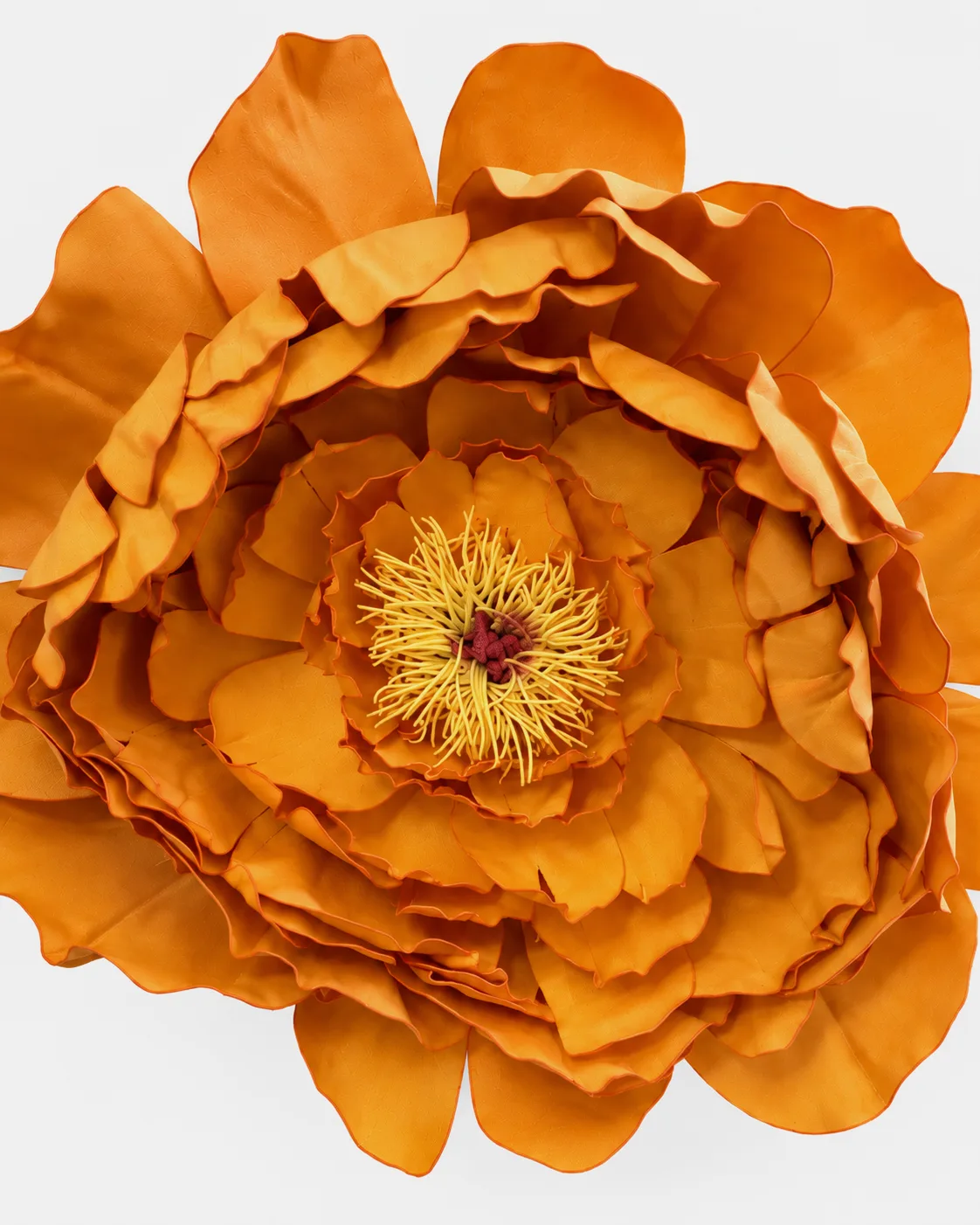Fleurs, grandes, à l’unité, Pivoine, orange