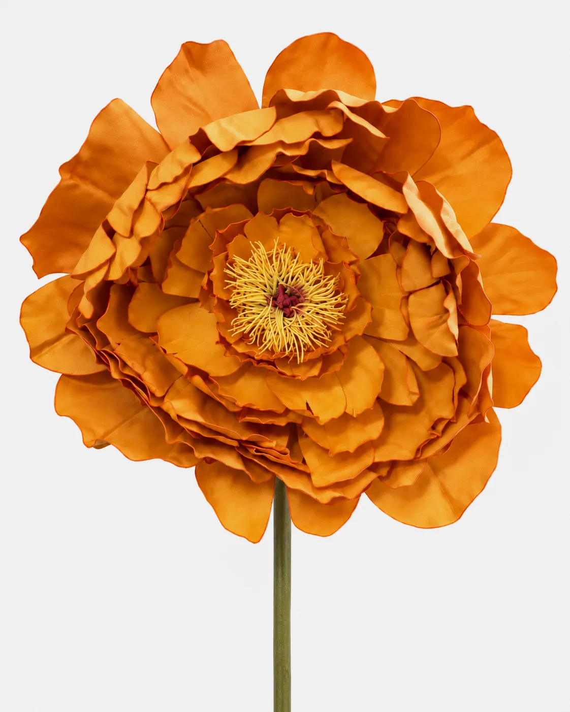 Fleurs, grandes, à l’unité, Pivoine, orange