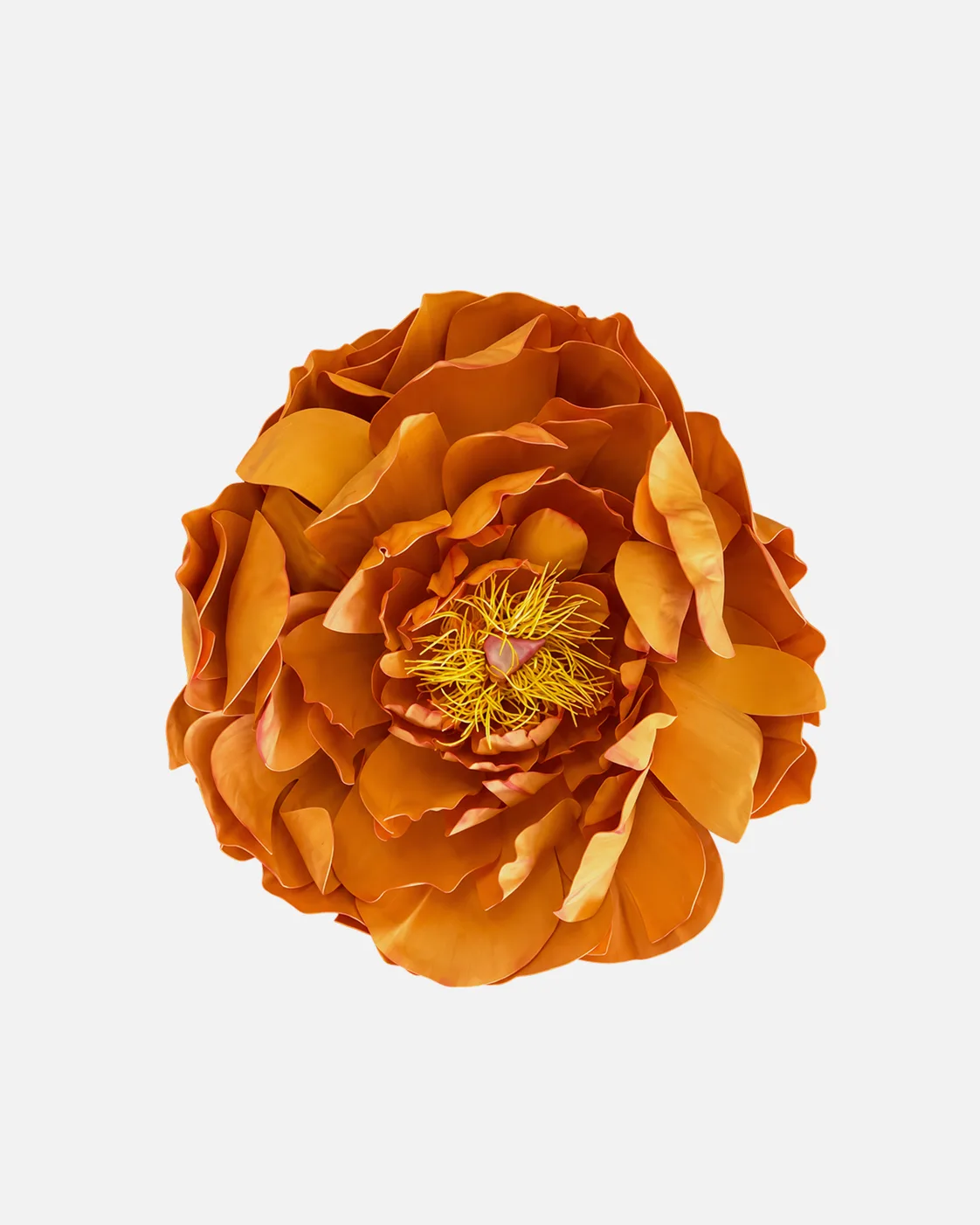 Fleurs, grandes, à l’unité, Pivoine, orange 2