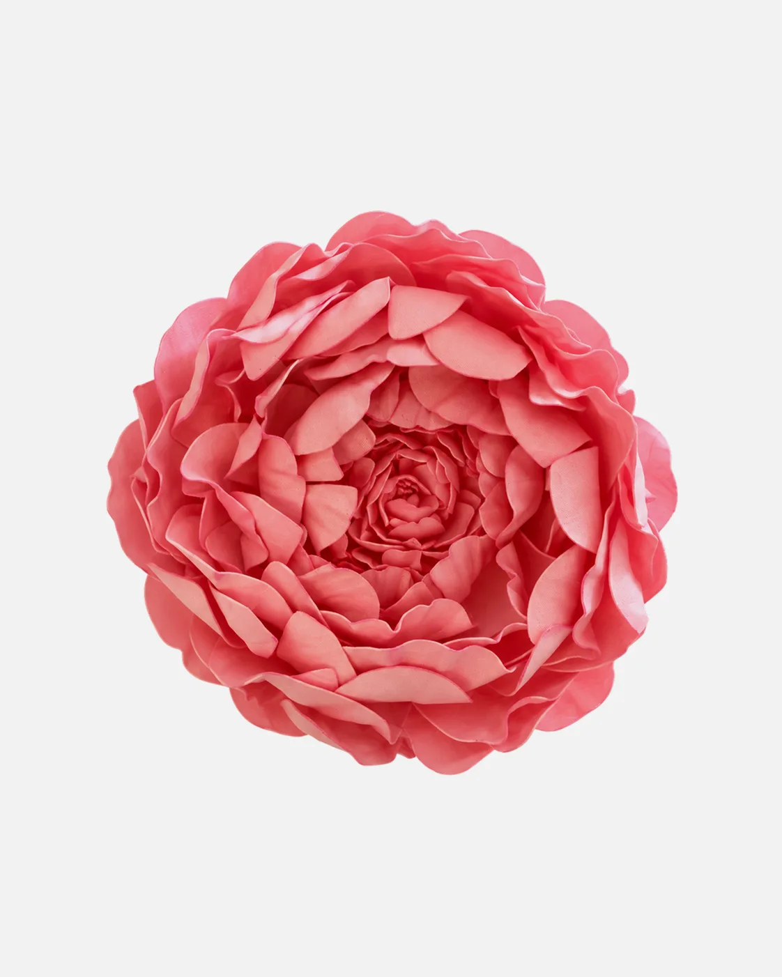 Fleurs, grandes, à l’unité, Pivoine, rose