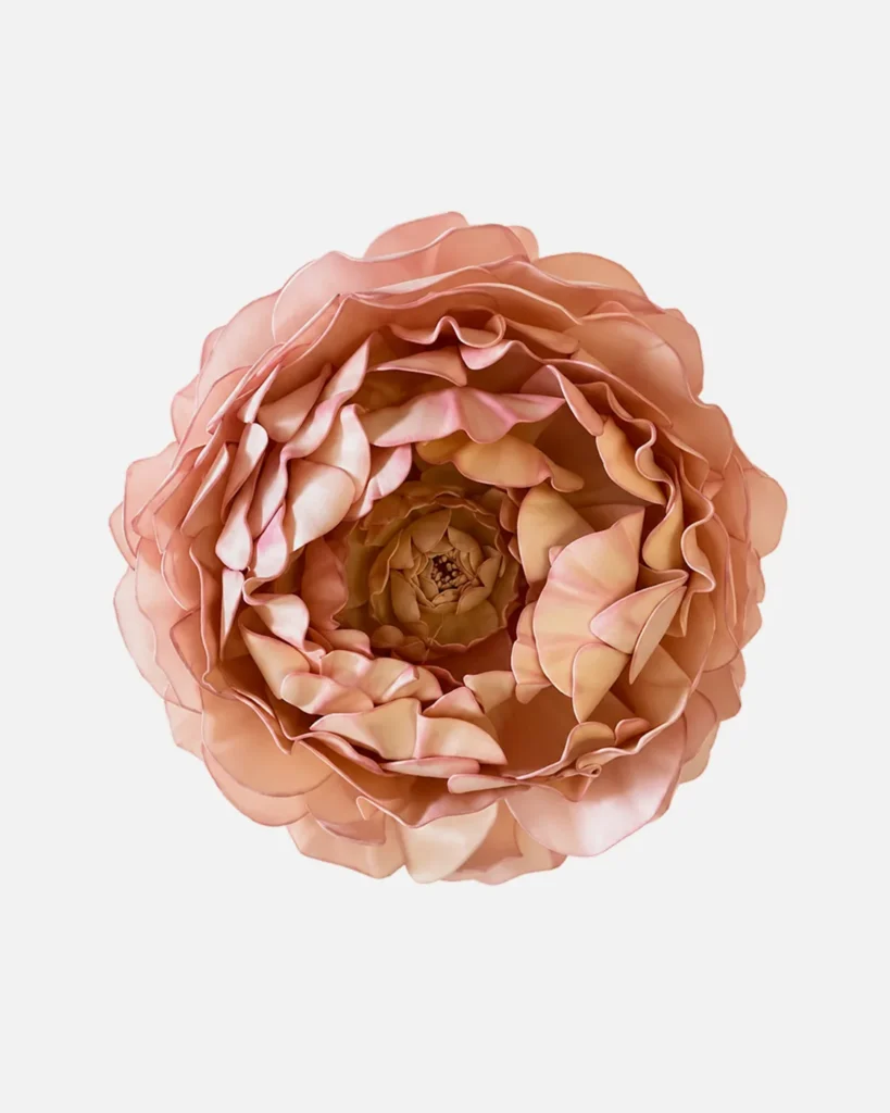 Fleurs, grandes, à l’unité, Pivoine, vieux rose