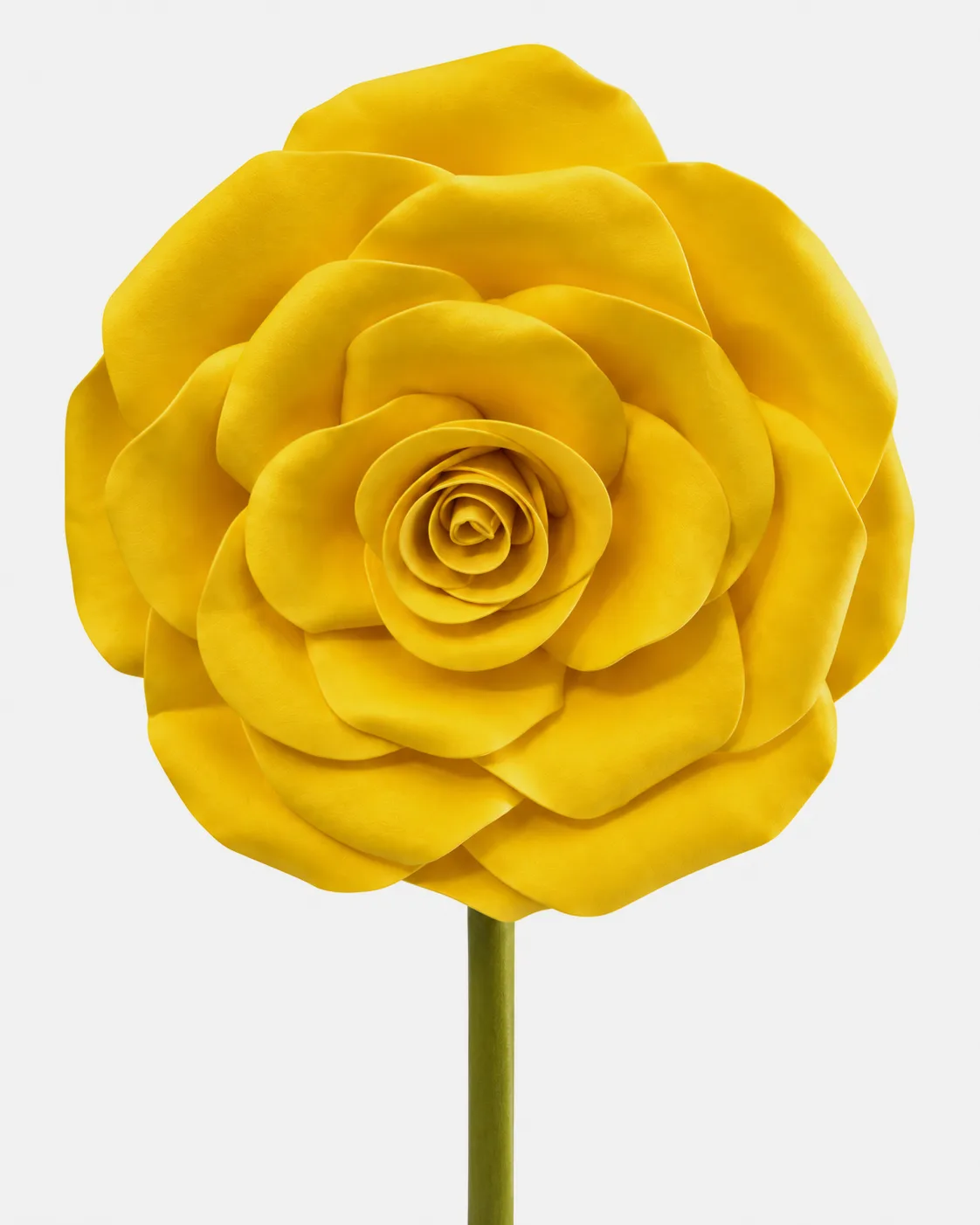 Fleurs, grandes, à l’unité, Rose, jaune