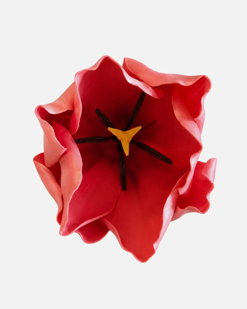 Fleurs, grandes, à l’unité, Tulipe, rouge