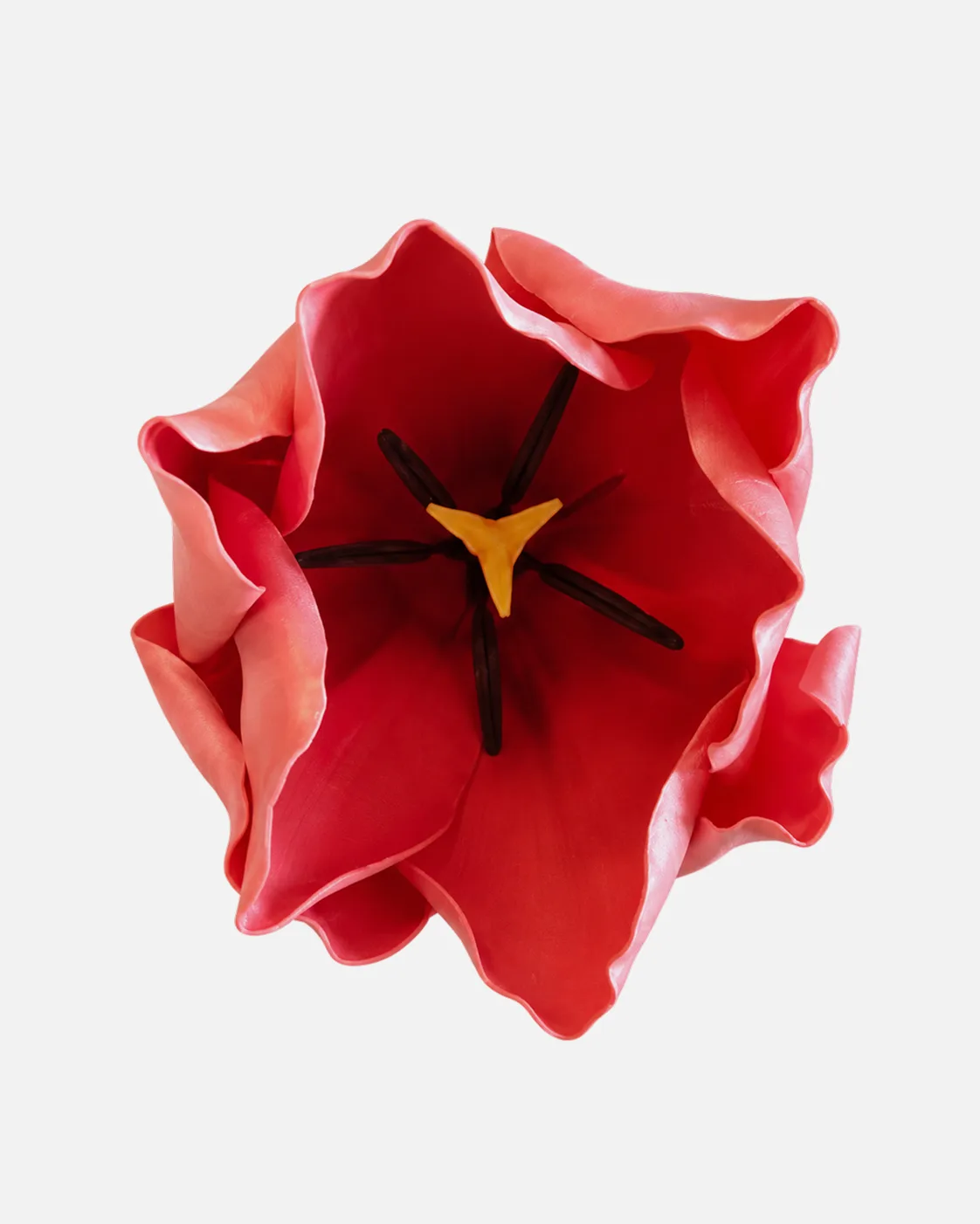 Fleurs, grandes, à l’unité, Tulipe, rouge
