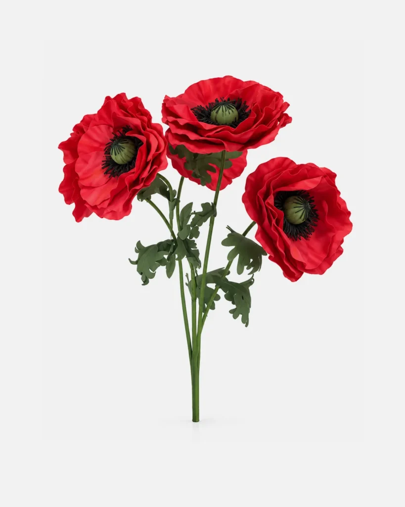 Fleurs, grandes, en ensemble, Coquelicot, rouge, x3