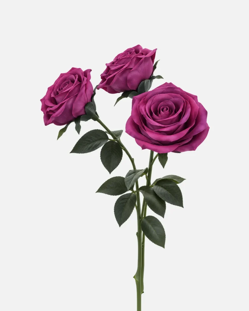Fleurs, grandes, en ensemble, Rose, fuccsia, x5
