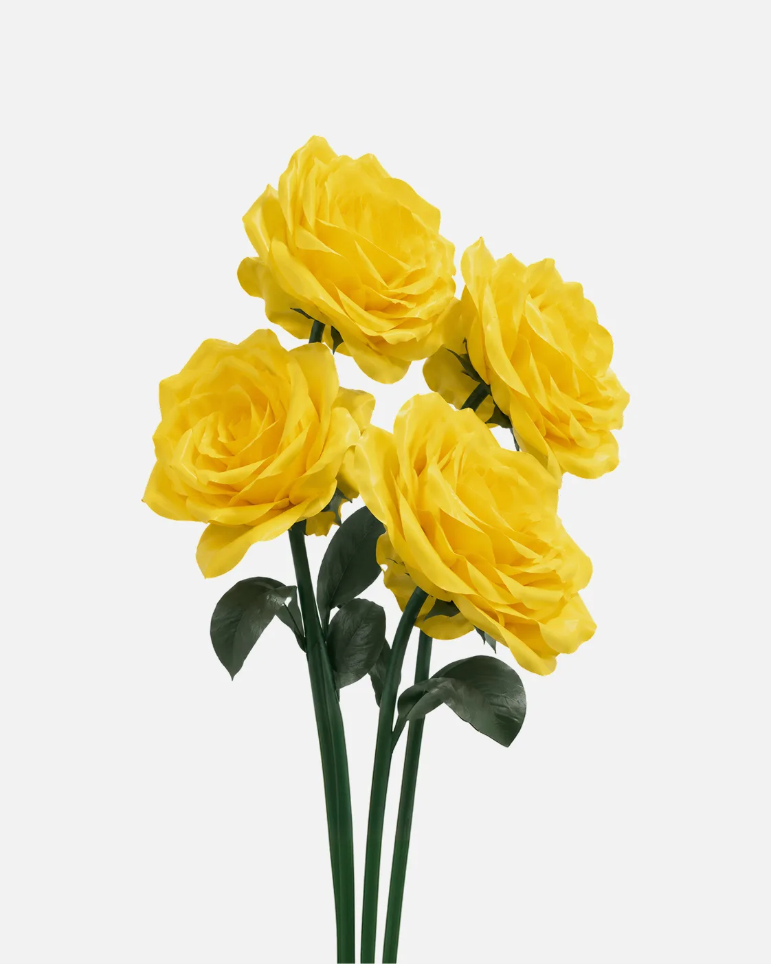 Fleurs, grandes, en ensemble, Rose, jaune, x4