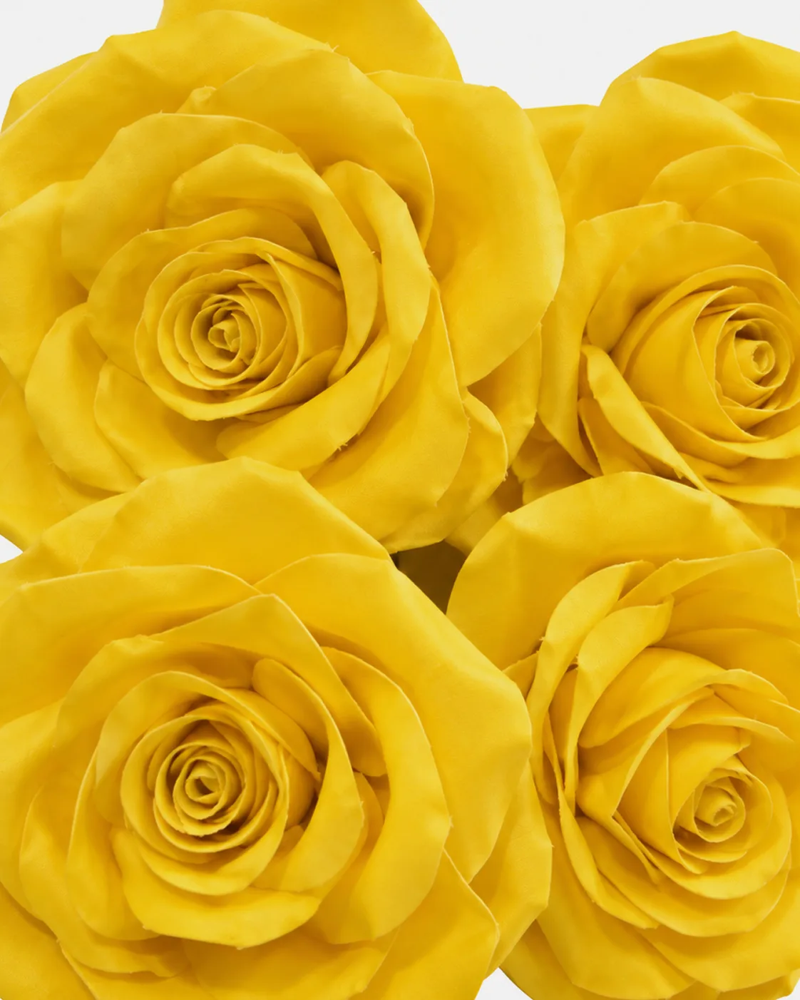 Fleurs, grandes, en ensemble, Rose, jaune, x4