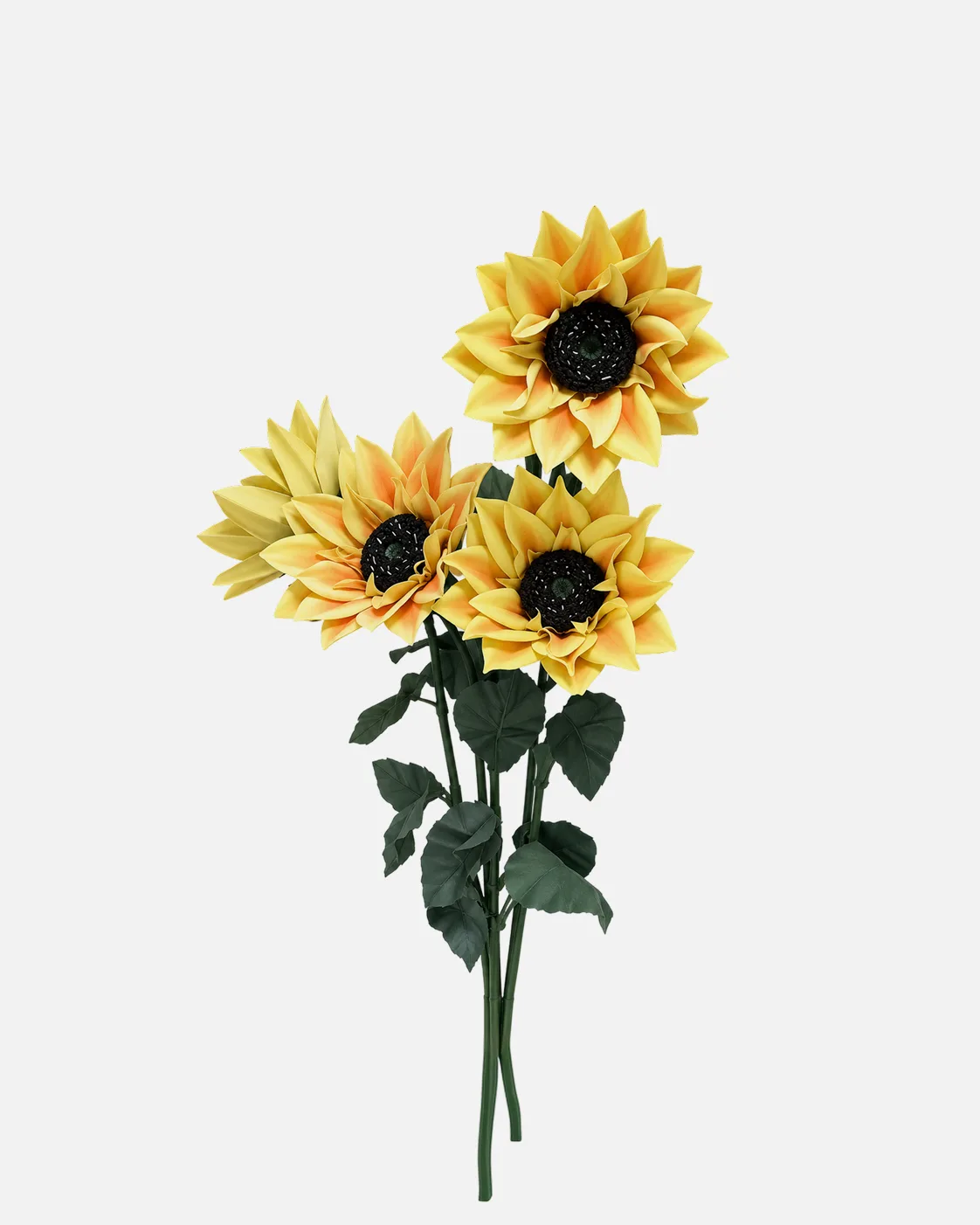 Fleurs, grandes, en ensemble, Tournesol, x5