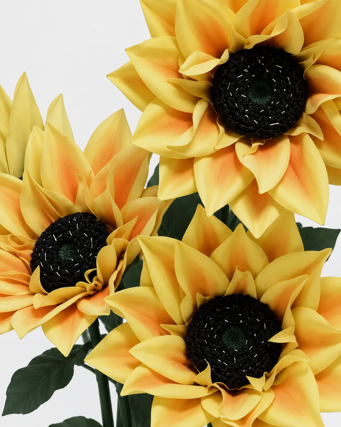 Fleurs, grandes, en ensemble, Tournesol, x5