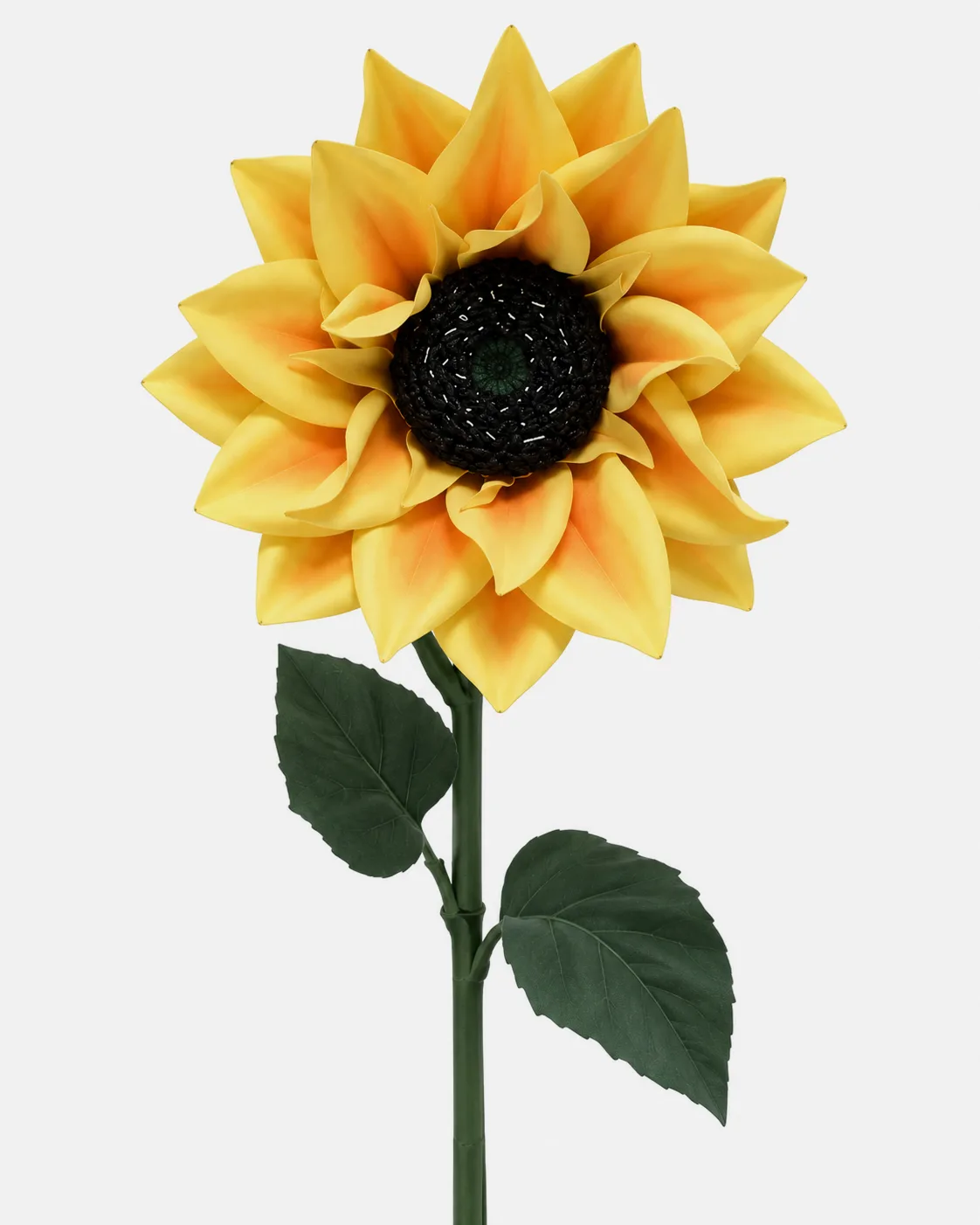 Fleurs, grandes, en ensemble, Tournesol, x5