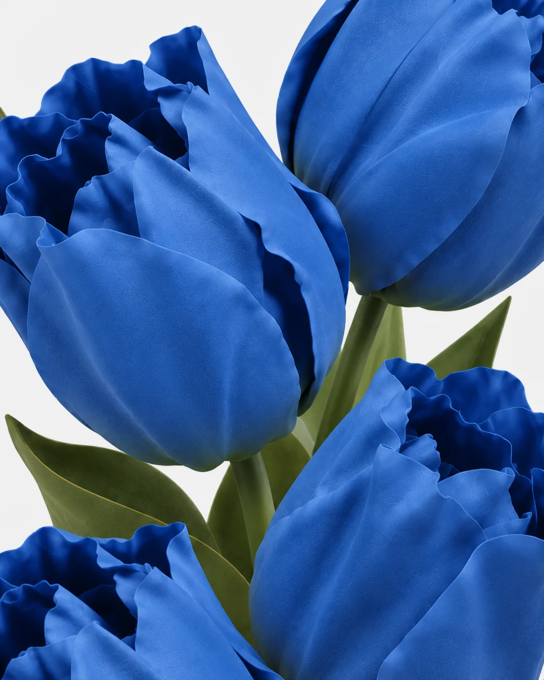 Fleurs, grandes, en ensemble, Tulipe, bleu, x4