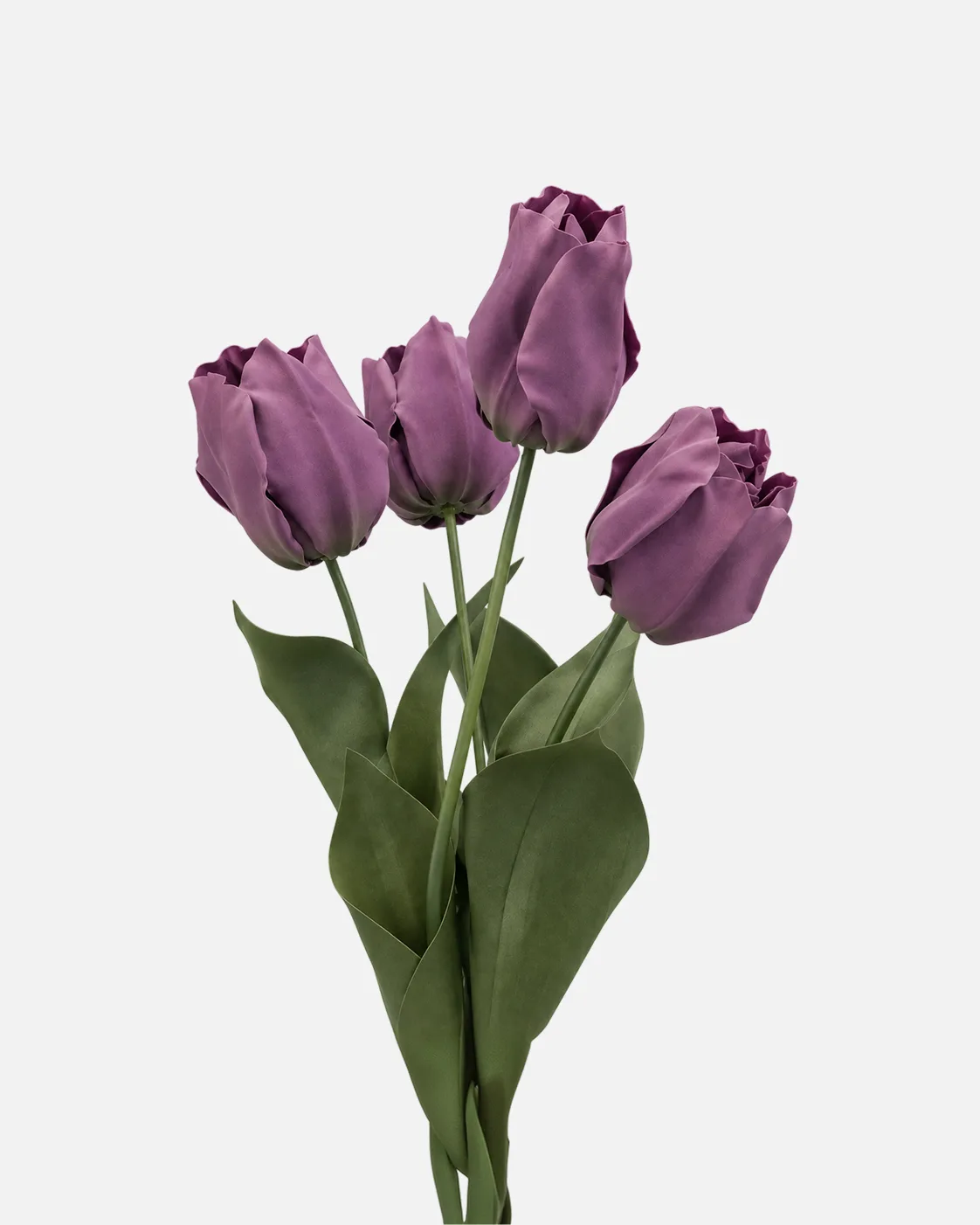 Fleurs, grandes, en ensemble, Tulipe, Lavende, x4