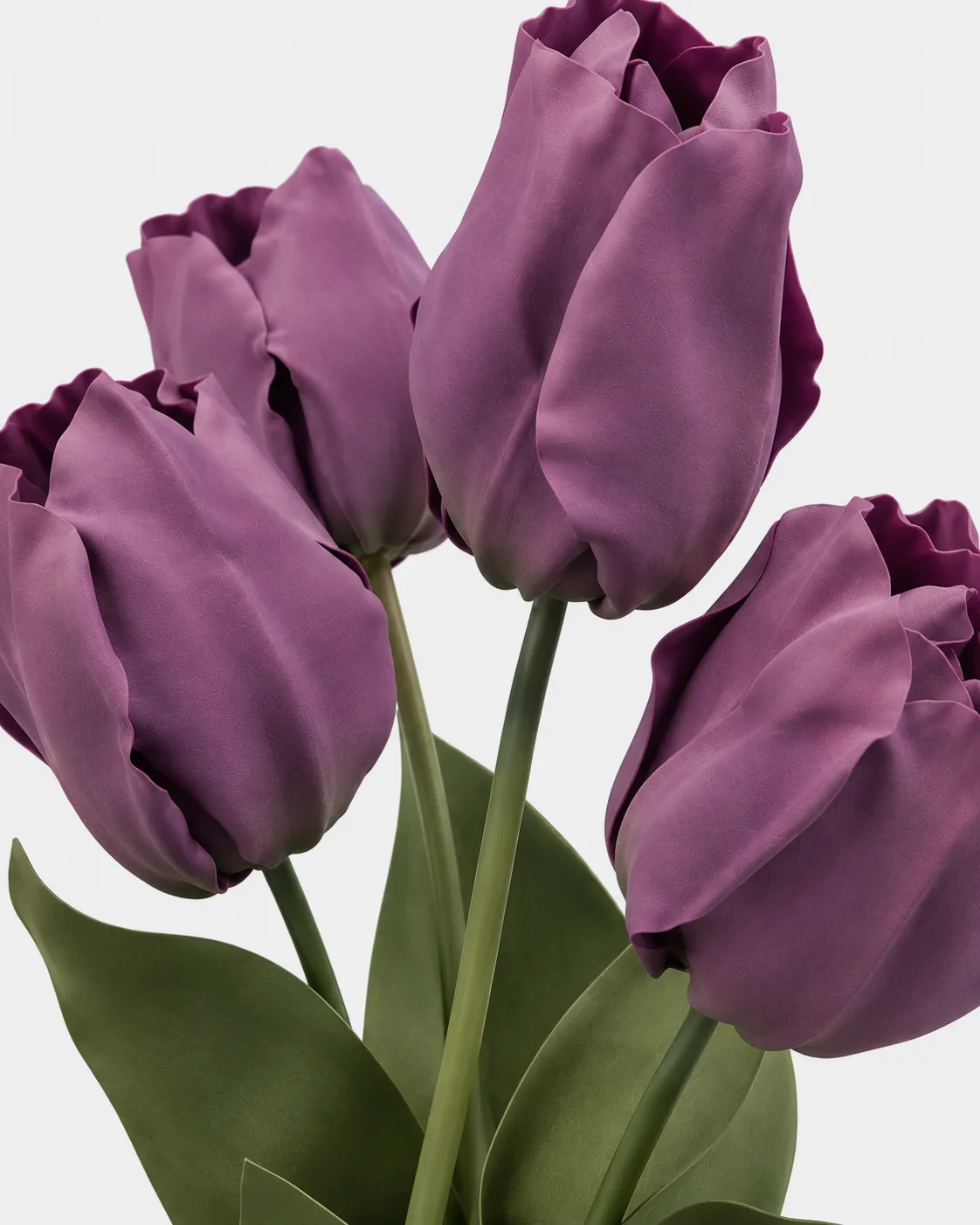 Fleurs, grandes, en ensemble, Tulipe, Lavende, x4