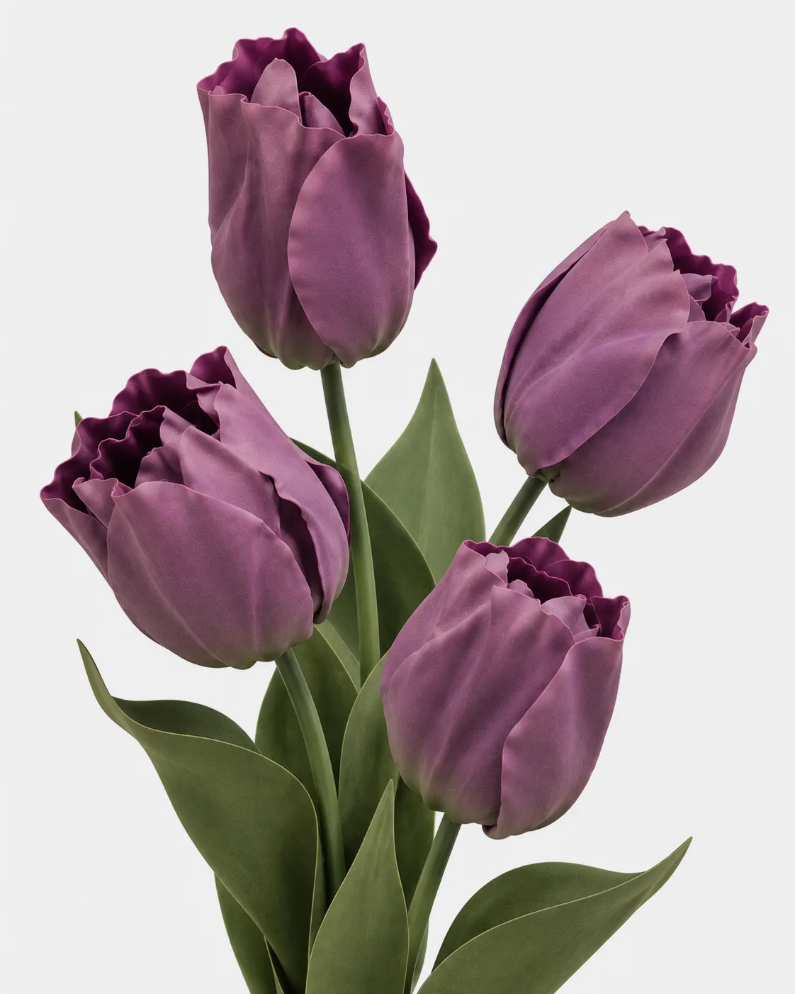 Fleurs, grandes, en ensemble, Tulipe, Lavende, x4