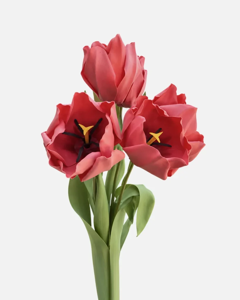 Fleurs, grandes, en ensemble, Tulipe, Rouge, x4