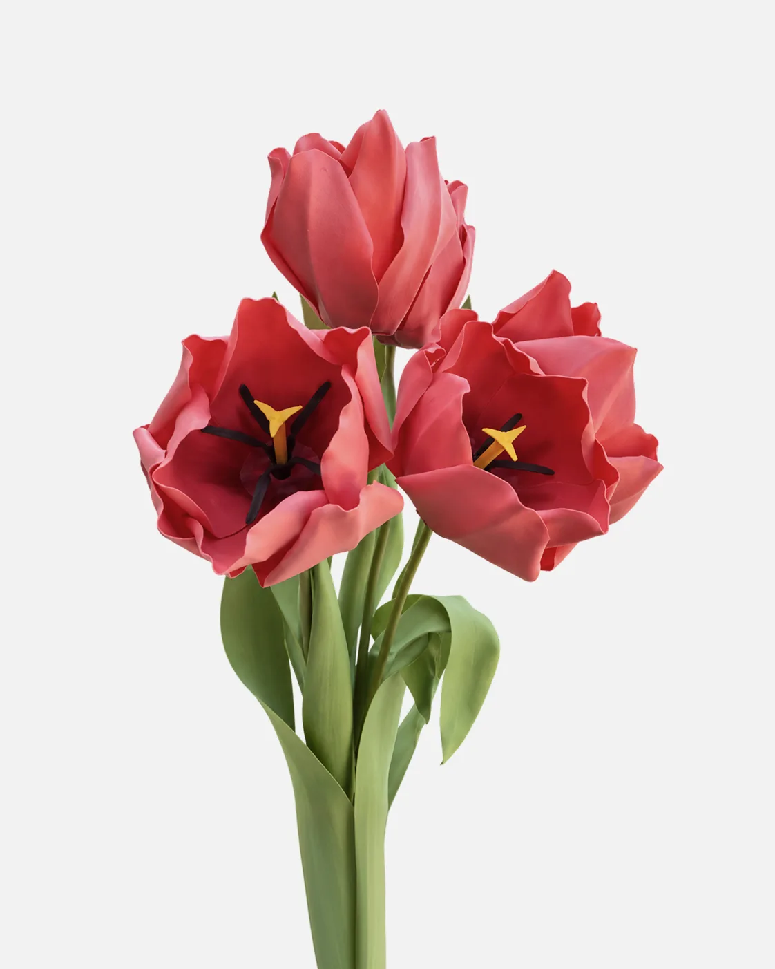 Fleurs, grandes, en ensemble, Tulipe, Rouge, x4