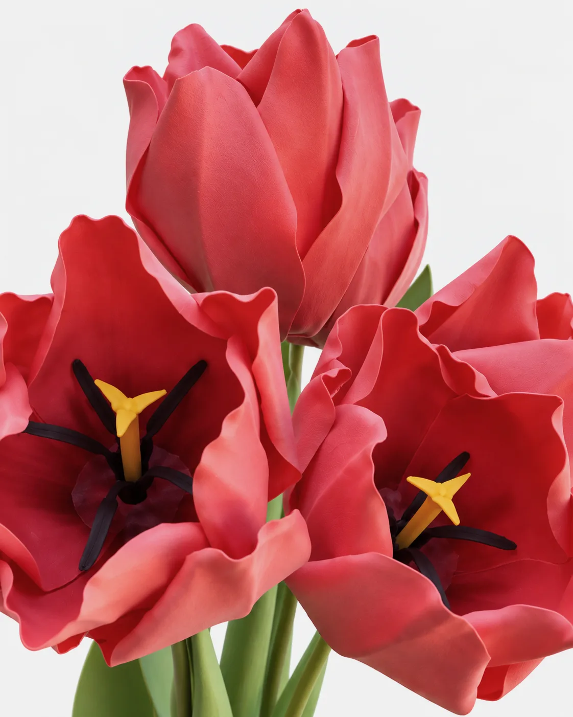 Fleurs, grandes, en ensemble, Tulipe, Rouge, x4