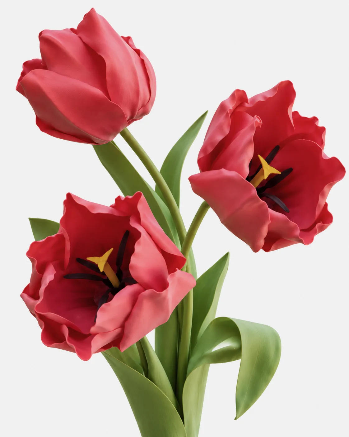Fleurs, grandes, en ensemble, Tulipe, Rouge, x4