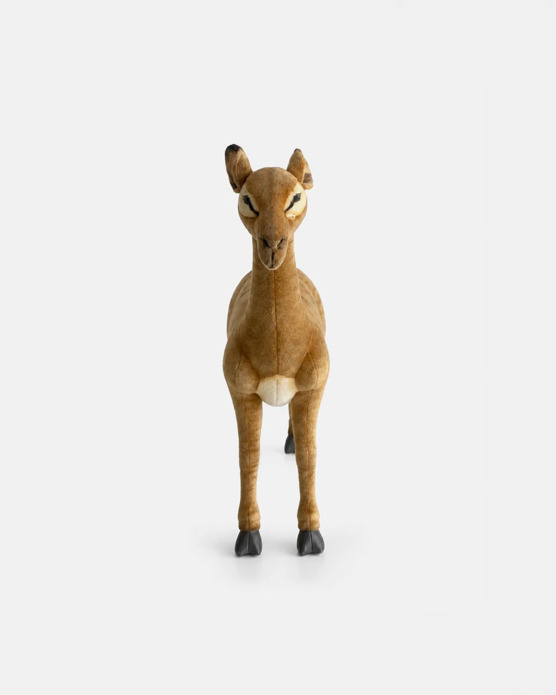 Gazelle femelle Debout