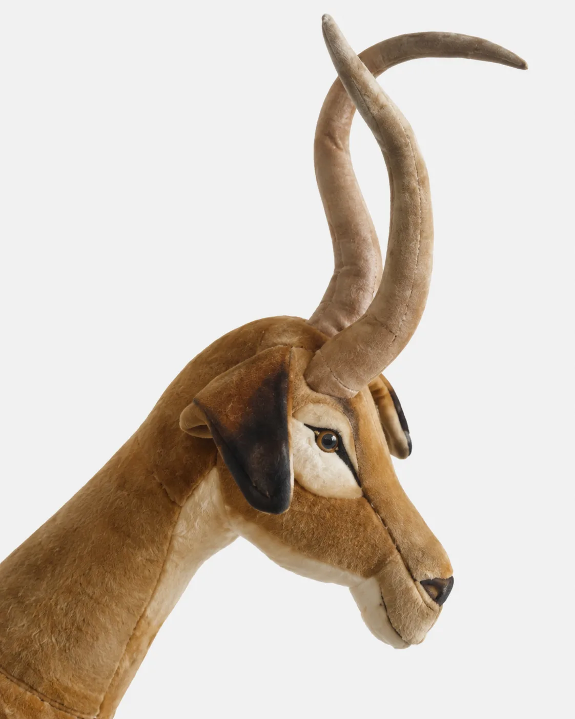 Gazelle malle Debout