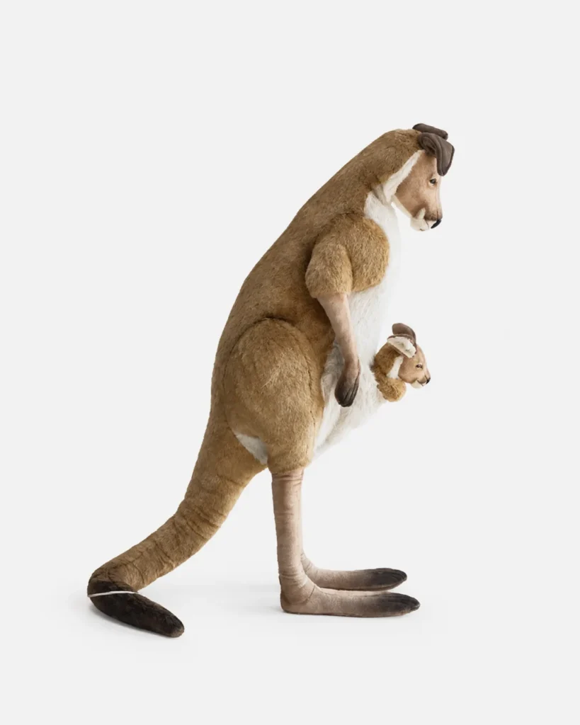 Kangarou, Maman Kangourou et baby