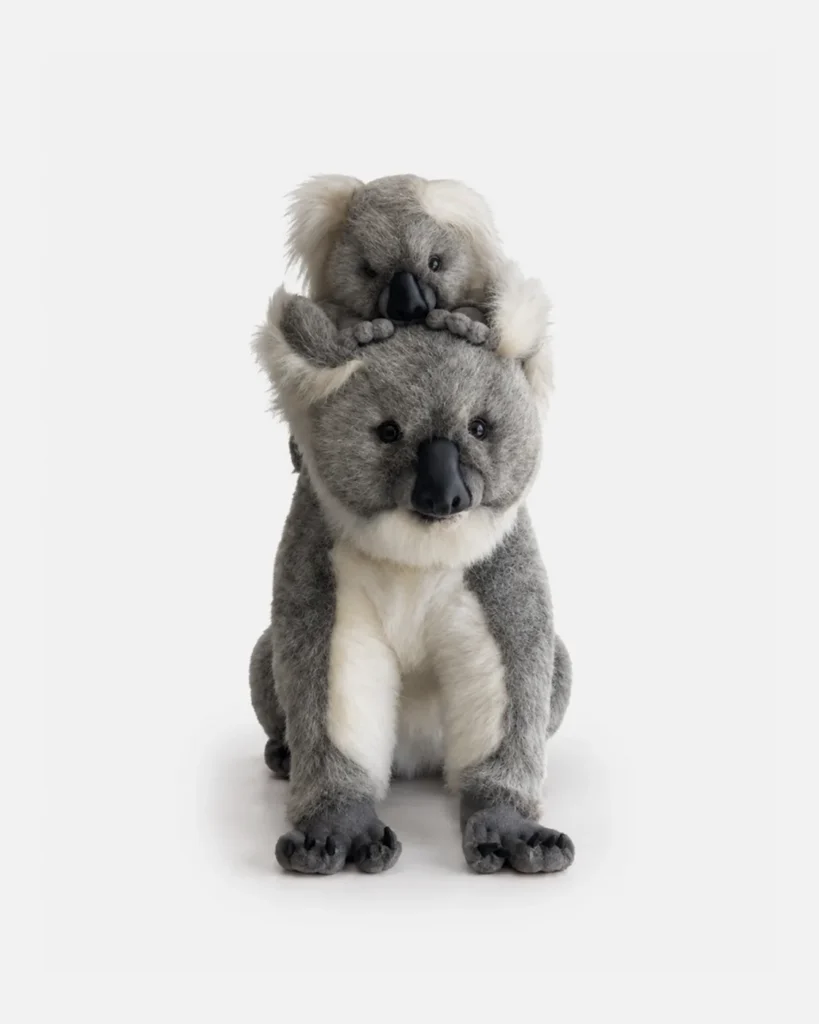 Koala, Maman koala avec bebe