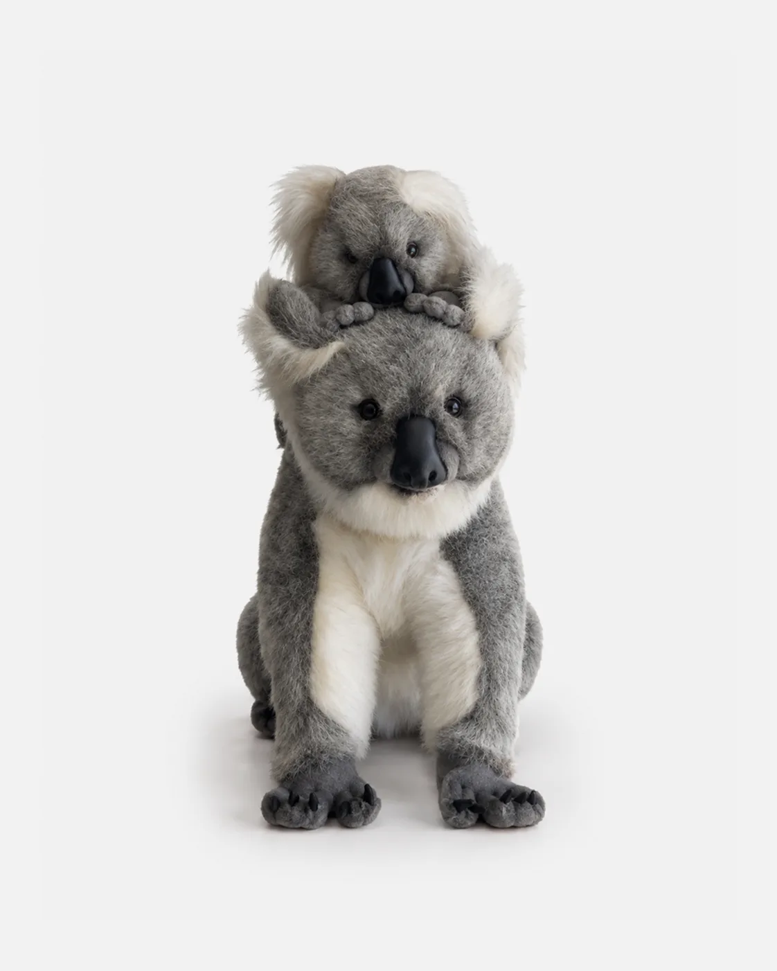 Koala, Maman koala avec bebe