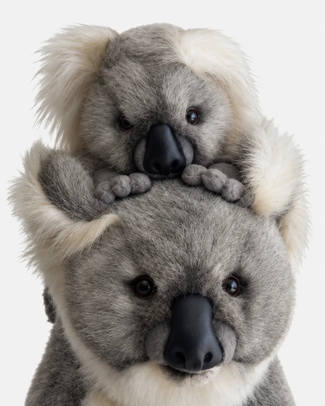 Koala, Maman koala avec bebe