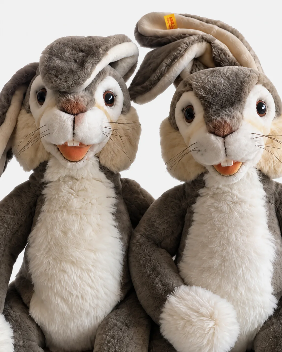 Lapin, Duo lapin assis