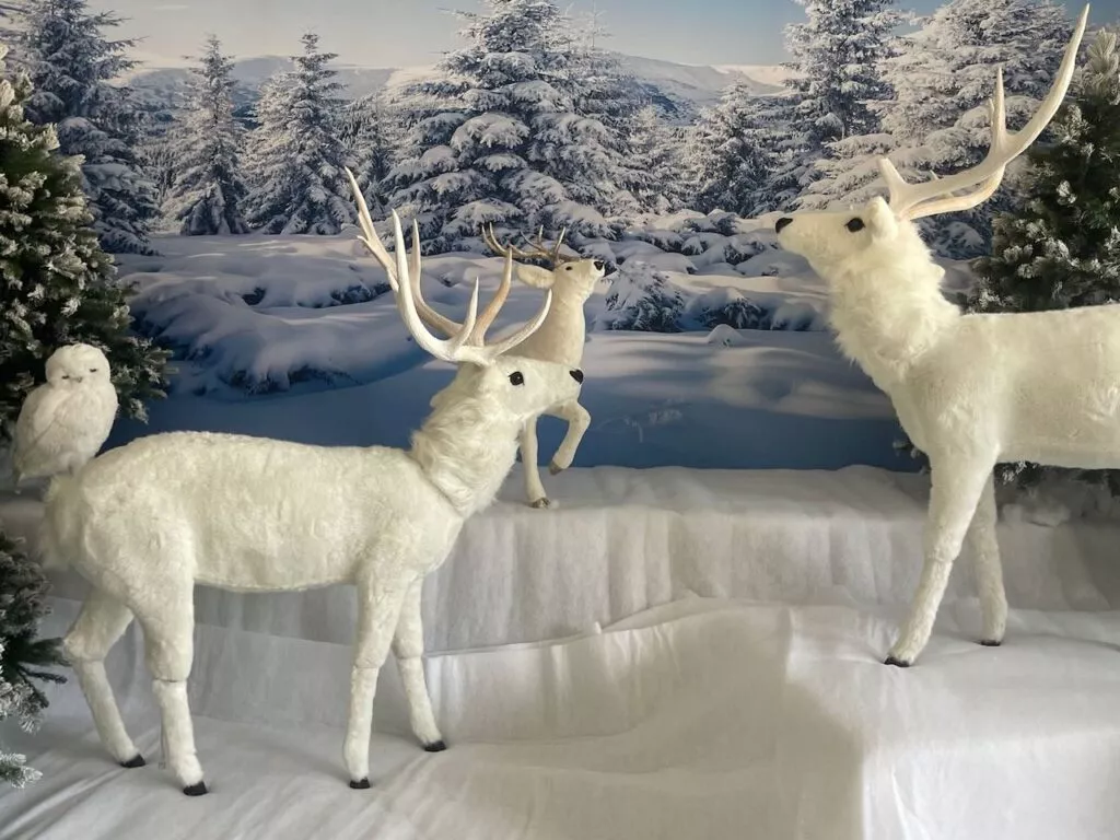 Weihnachtsautomaten mieten