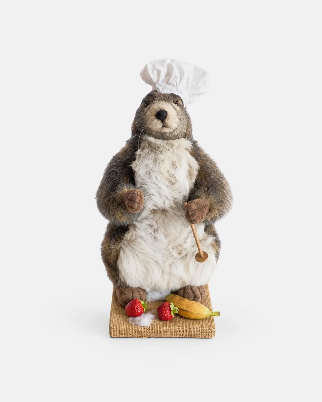 Marmotte debout