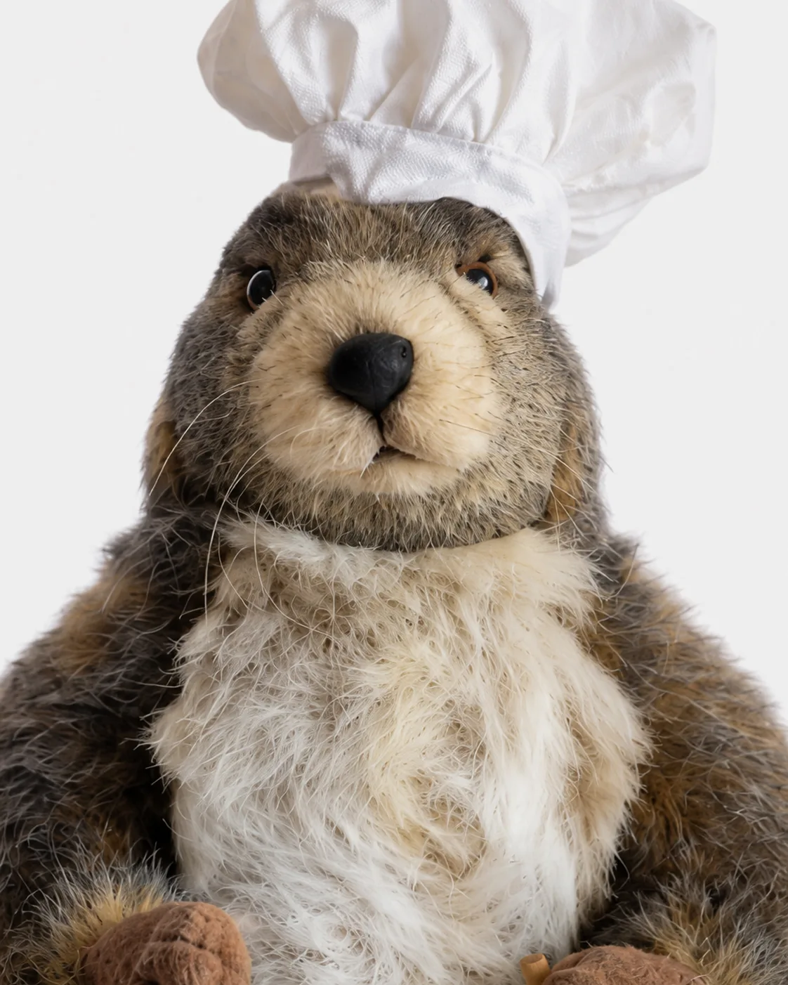 Marmotte debout