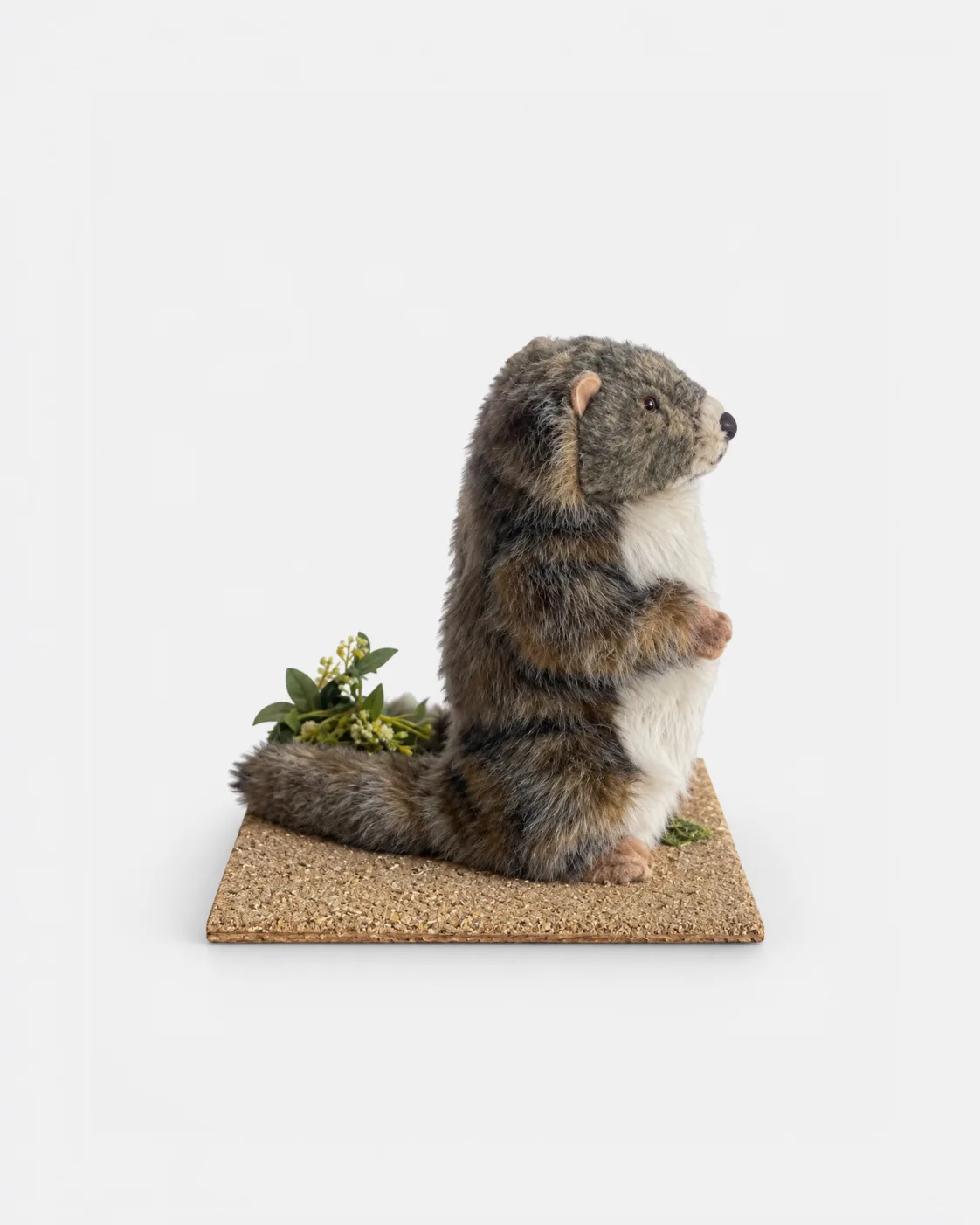 Marmottes, deux